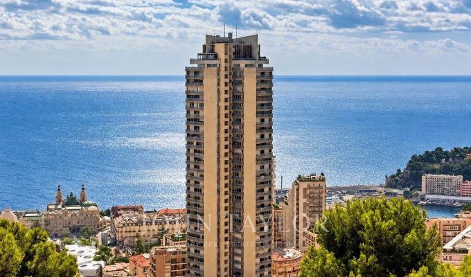 Vente Appartement Monaco