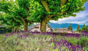 Vente Appartement Montreux