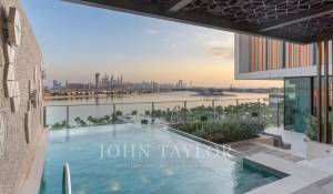 Vente Appartement Palm Jumeirah