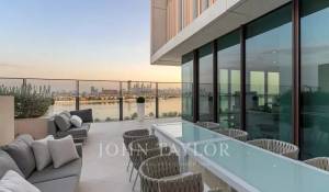 Vente Appartement Palm Jumeirah