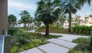 Vente Appartement Palm Jumeirah