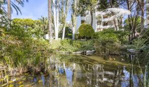 Vente Appartement Palma de Mallorca