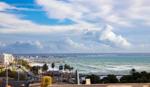 Vente Appartement Palma de Mallorca
