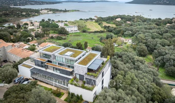 Vente Appartement Porto-Vecchio
