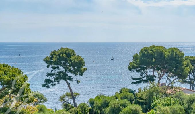 Vente Appartement Saint-Jean-Cap-Ferrat