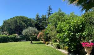 Vente Appartement Vallauris