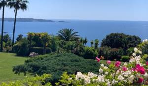 Vente Appartement Vallauris