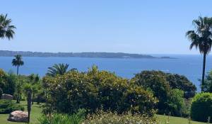 Vente Appartement Vallauris