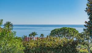 Vente Appartement Vallauris