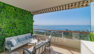 Vente Appartement Vallauris