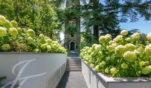 Vente Appartement Vandoeuvres