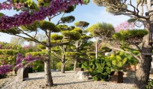 Vente Bastide Bonnieux
