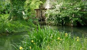 Vente Bastide L'Isle-sur-la-Sorgue