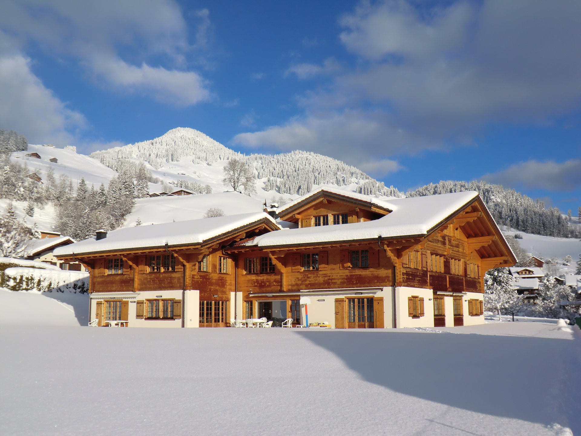 Annonce Vente Chalet Châteaud'Oex (1660), 18 Pièces refV0214GS