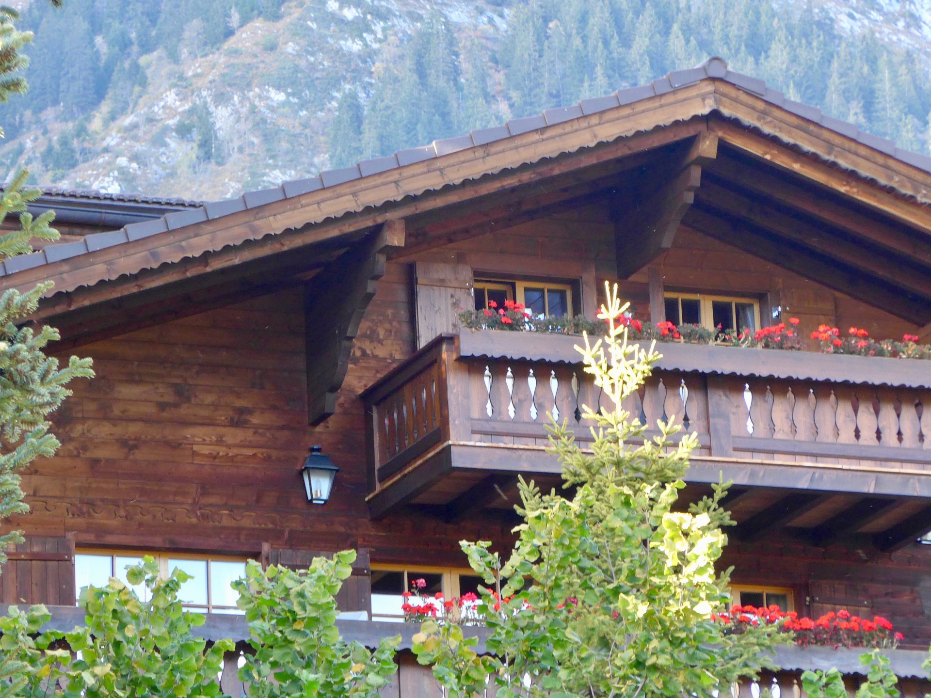 Annonce Vente Chalet Châteaud'Oex refV0353GS