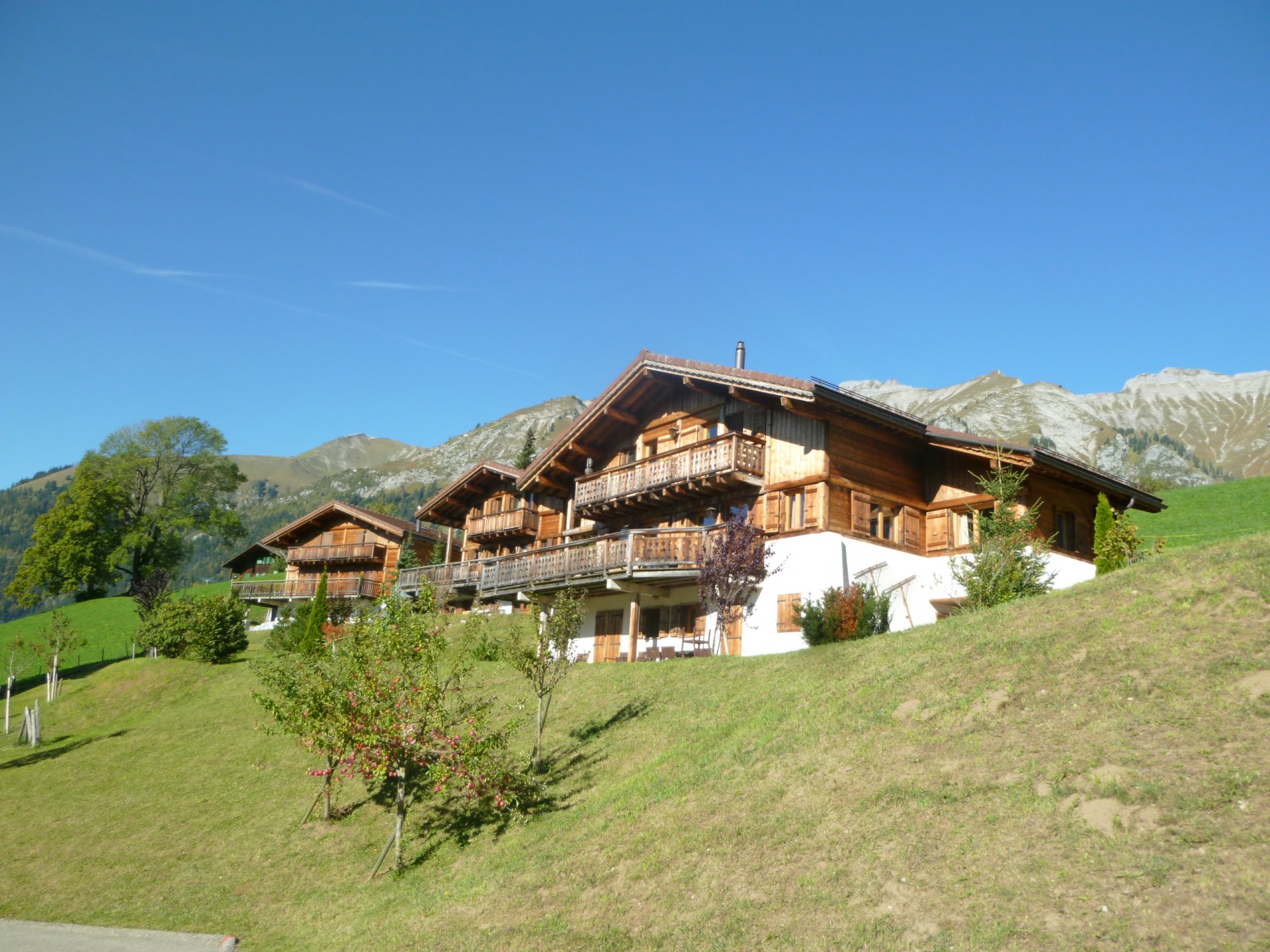 Annonce Vente Chalet Châteaud'Oex (1660) refV0377GS