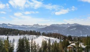 Vente Chalet Crans-Montana