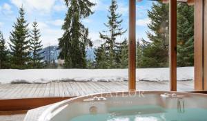 Vente Chalet Crans-Montana