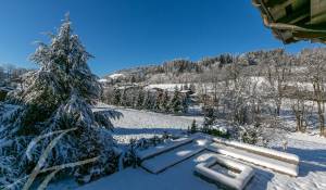 Vente Chalet Demi-Quartier