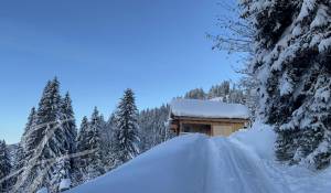 Vente Chalet Gstaad
