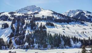 Vente Chalet Gstaad
