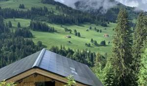 Vente Chalet Gstaad