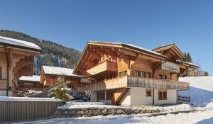 Vente Chalet Lauenen bei Gstaad