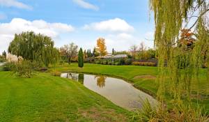 Vente Chalet Pozuelo de Alarcón