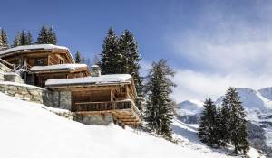 Vente Chalet Verbier