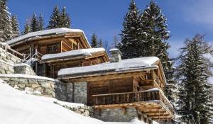 Vente Chalet Verbier