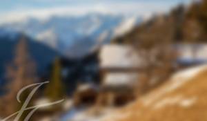 Vente Chalet Verbier