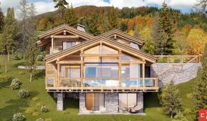 Vente Chalet Verbier