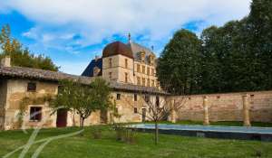Vente Château Fareins