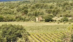 Vente Château Gordes