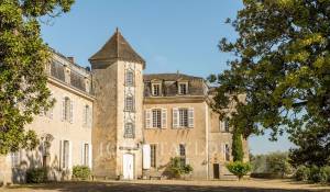 Vente Château Langon