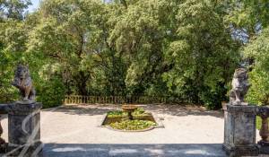 Vente Château Lorgues