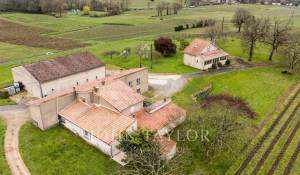 Vente Château Saint-Émilion