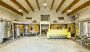 Vente Château Saint-Émilion