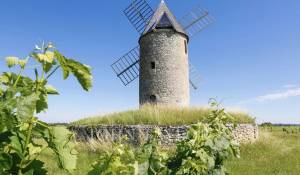 Vente Château Saint-Émilion