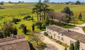 Vente Château Saint-Émilion