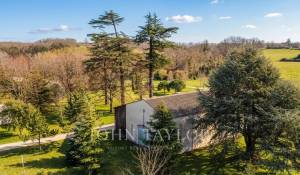 Vente Château Saint-Émilion