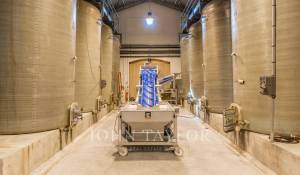 Vente Château Saint-Émilion