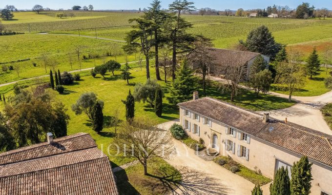 Vente Château Saint-Émilion