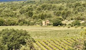 Vente Château Saint-Saturnin-lès-Apt