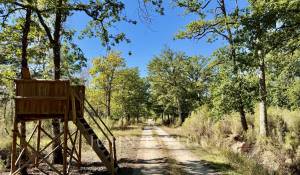 Vente Domaine de chasse Chambord
