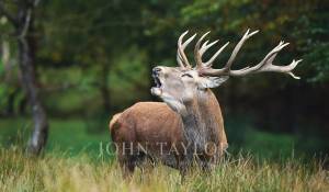 Vente Domaine de chasse Chambord