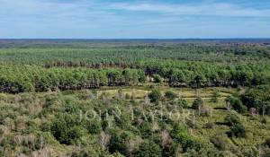 Vente Domaine de chasse Chambord