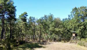 Vente Domaine de chasse Chambord