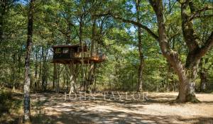 Vente Domaine de chasse Chambord