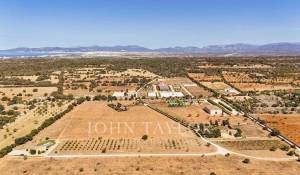 Vente Domaine équestre Llucmajor